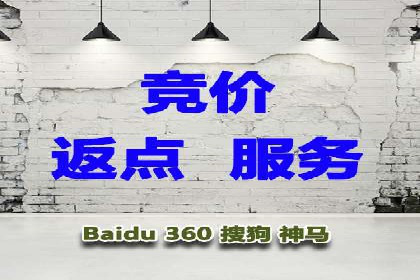 SEM竞价代运营实战技巧与案例