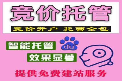 百度搜索推广的广告创意与执行案例分析